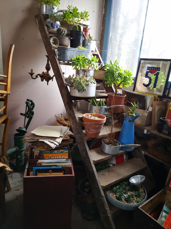 Notre jardin d'hiver