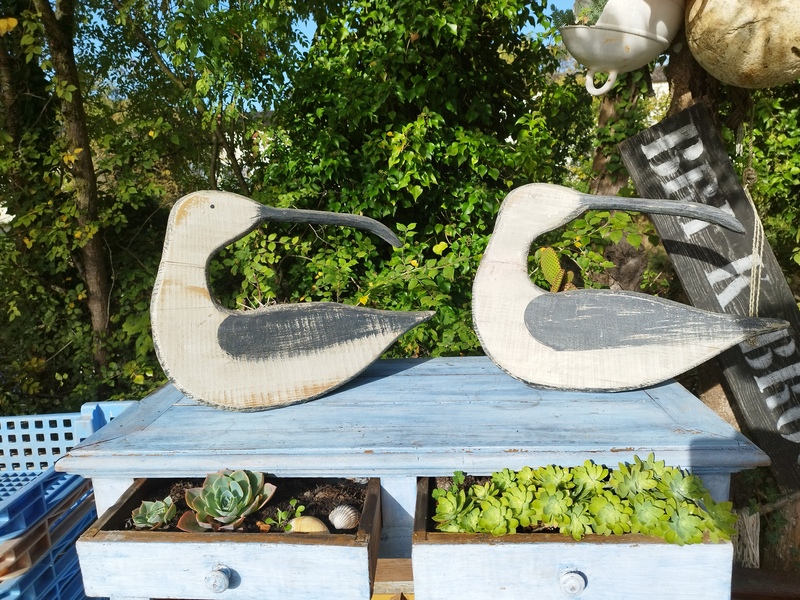 Oiseau bois Ibis sacré