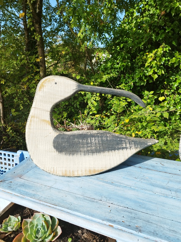 Oiseau bois Ibis sacré