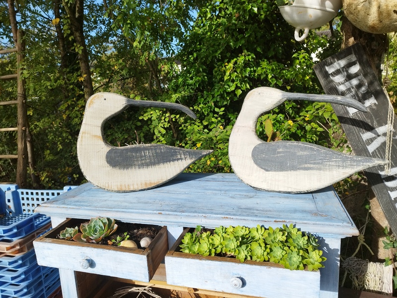 Oiseau bois Ibis sacré