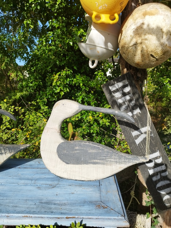 Oiseau bois Ibis sacré