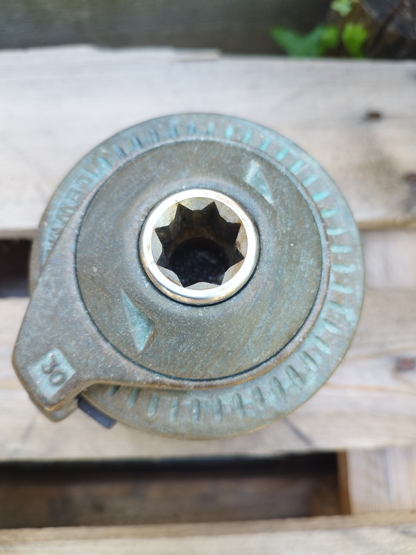 Paire de winch Lewmar 30