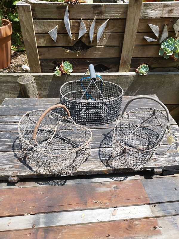 Panier de pêche à pied