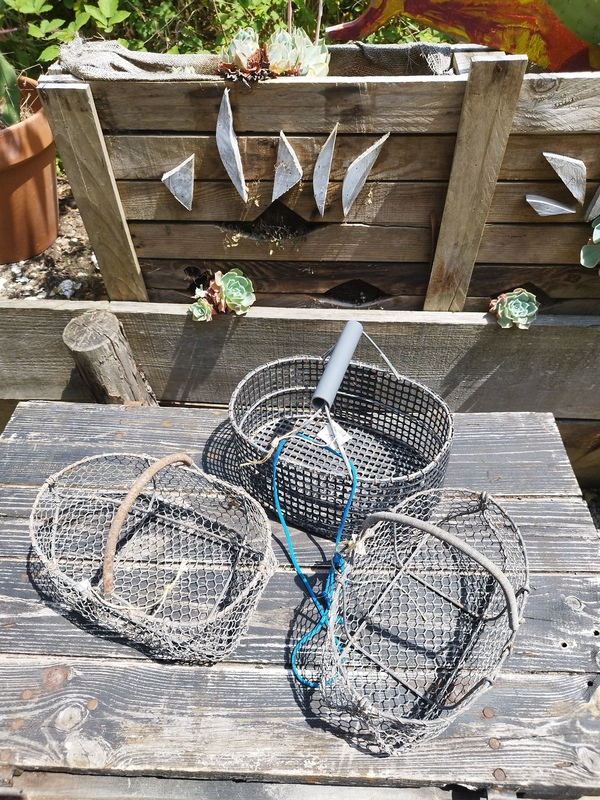 Panier de pêche à pied