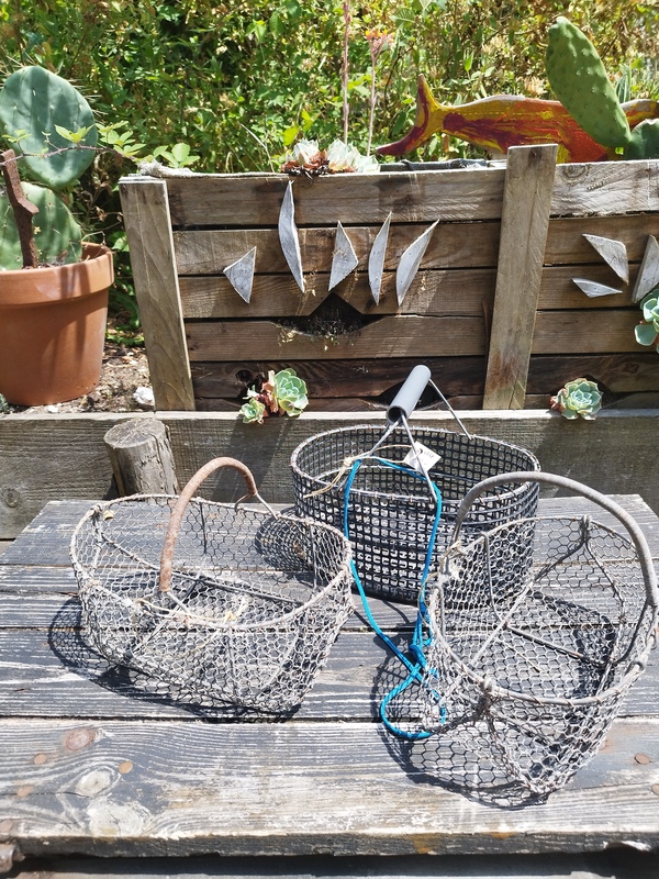 Panier de pêche à pied