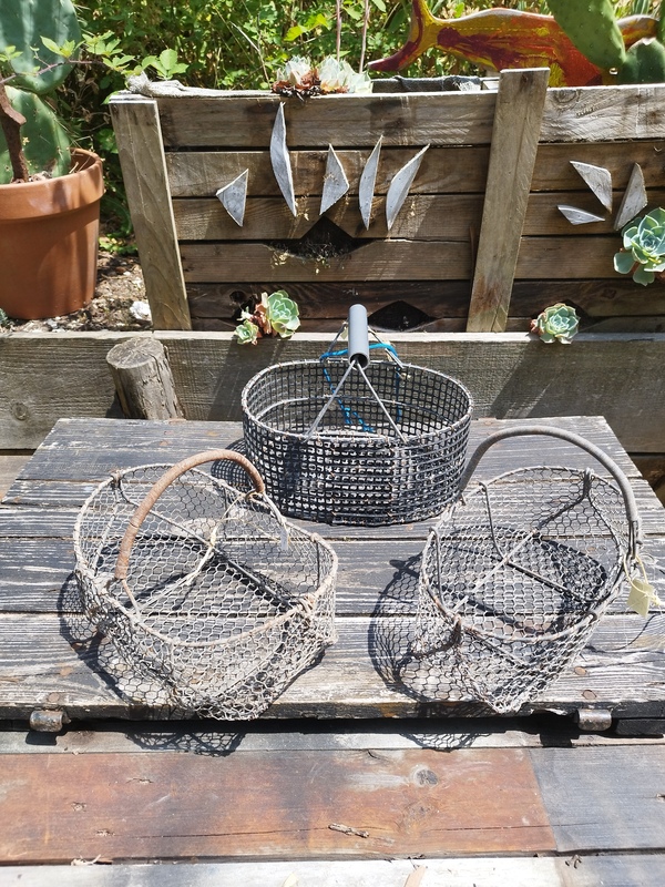 Panier de pêche à pied