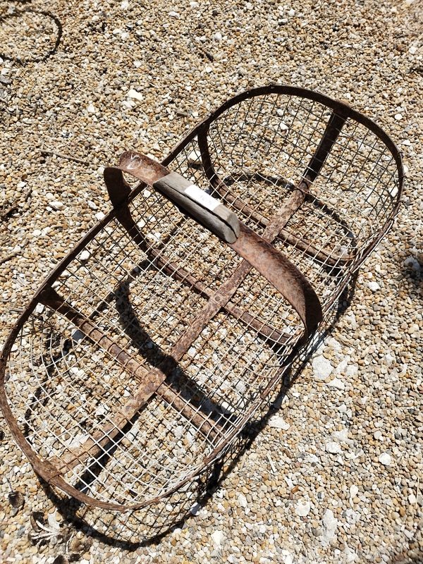 Panier de pêche à pieds 