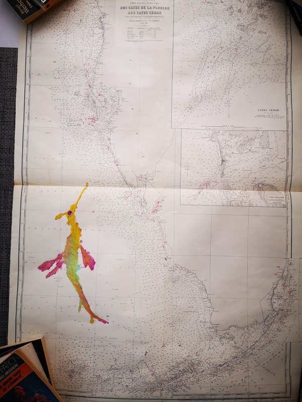 Peintures sur cartes marines