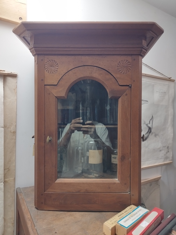 Petit cabinet de curiosité