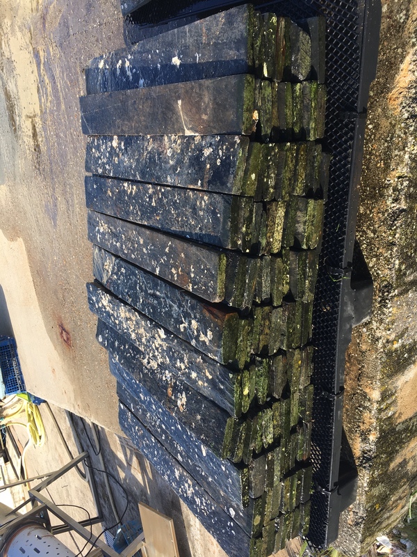 Pieux d'ardoise (m²)