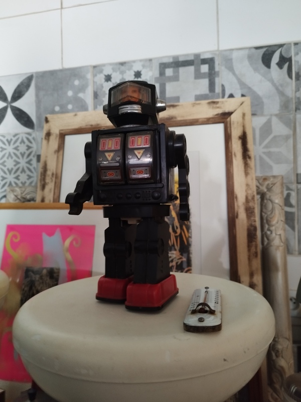 Robot moon explorer 1979