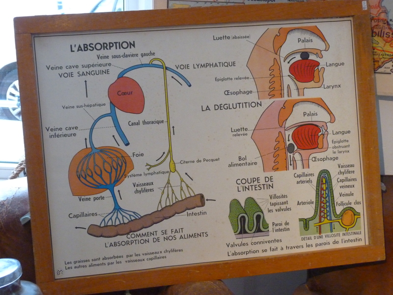 Série de 6 d'affiches scolaires MDI 