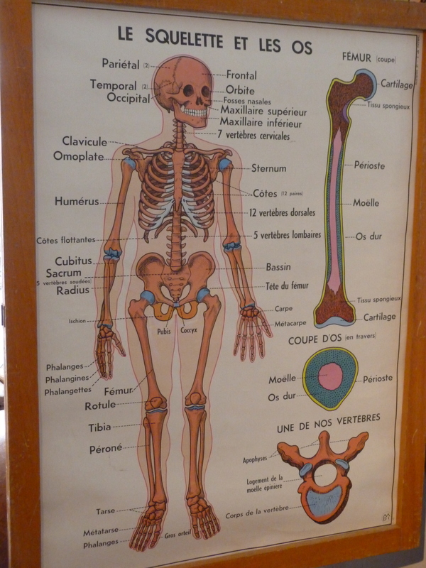 Série de 6 d'affiches scolaires MDI 
