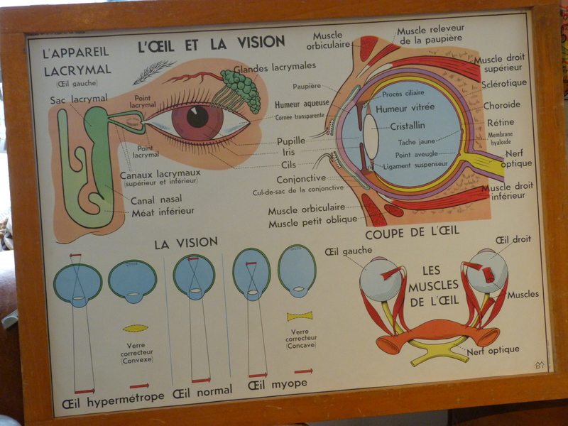 Série de 6 d'affiches scolaires MDI 