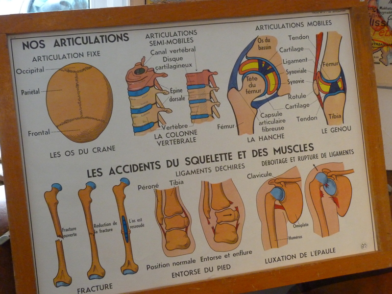 Série de 6 d'affiches scolaires MDI 