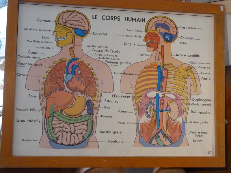 Série de 6 d'affiches scolaires MDI 