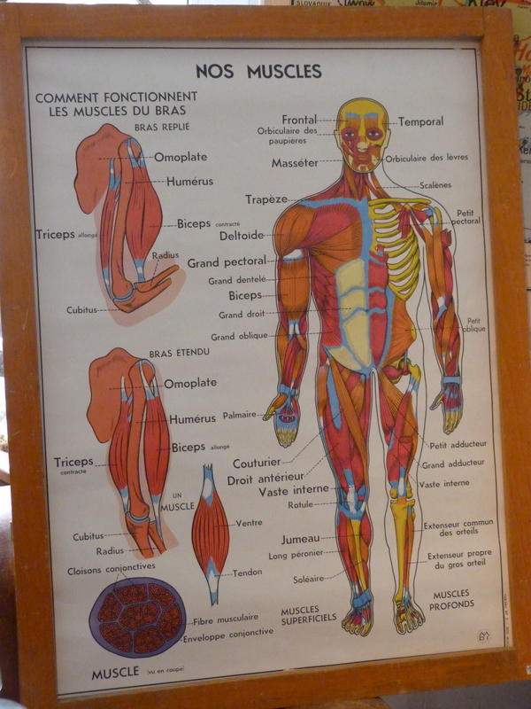 Série de 6 d'affiches scolaires MDI 