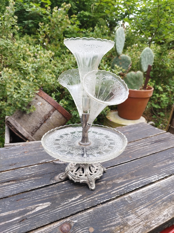 Tulipier ancien début XXe