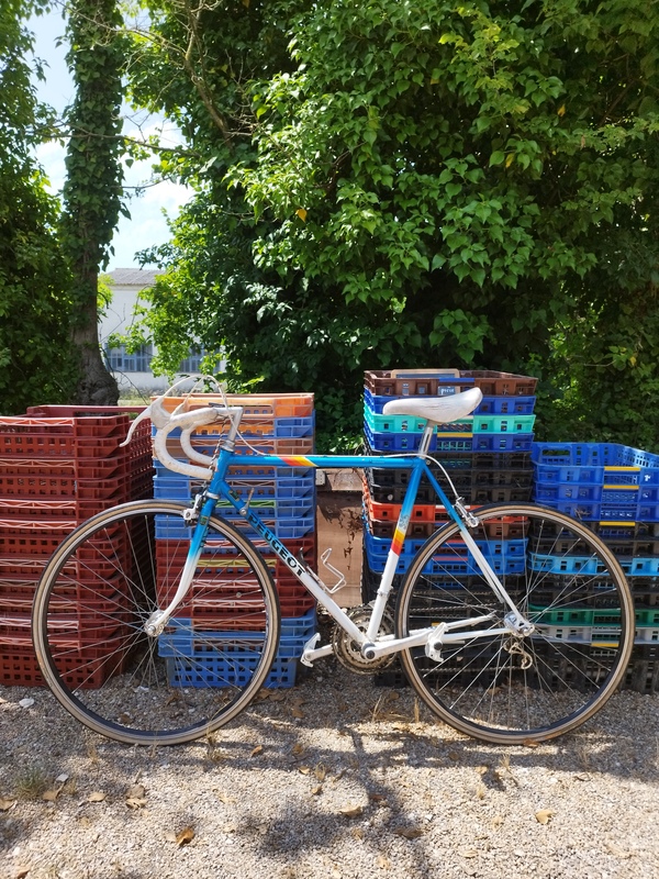 Vélo Peugeot Reynolds 501