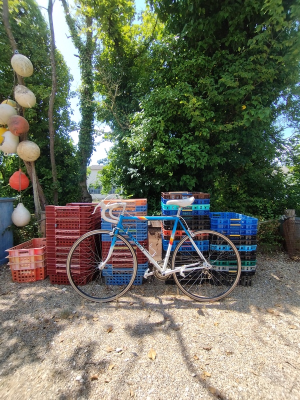 Vélo Peugeot Reynolds 501