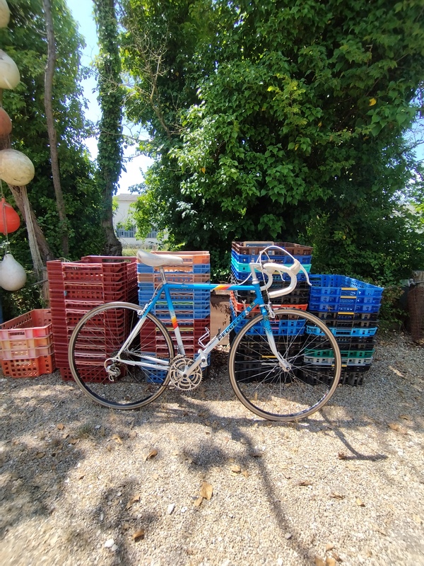 Vélo Peugeot Reynolds 501