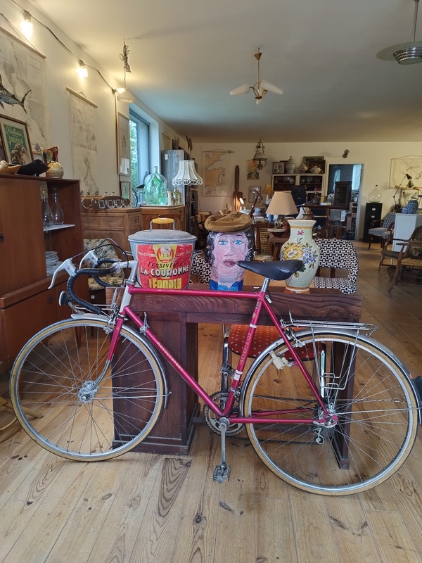 Motoconfort velo best sale